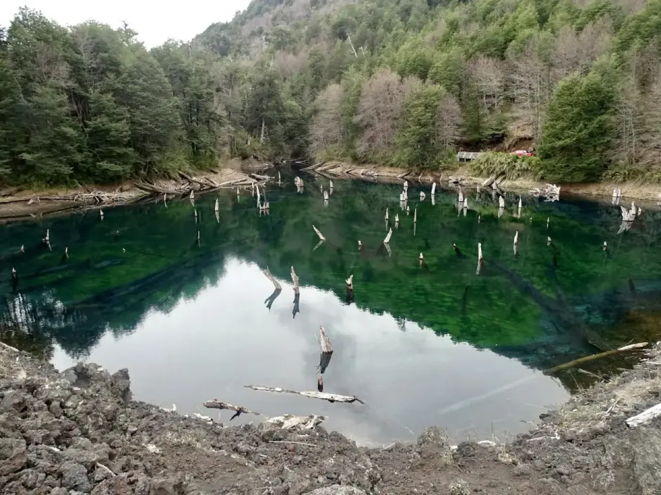 Laguna Arcoíris del Parque Conguillío con troncos sumergidos