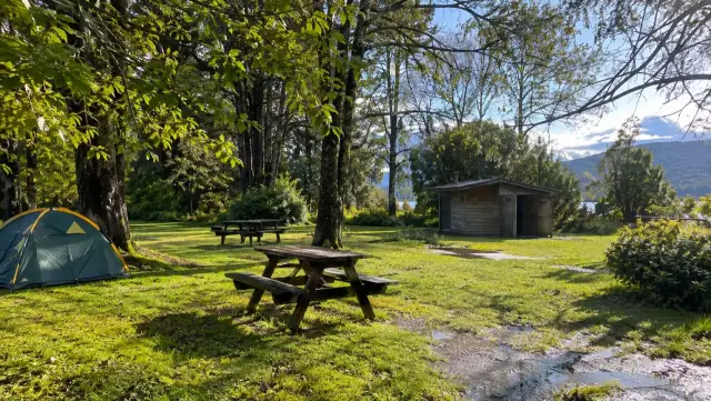 Camping entre árboles nativos con mesas de madera y una caseta de baños