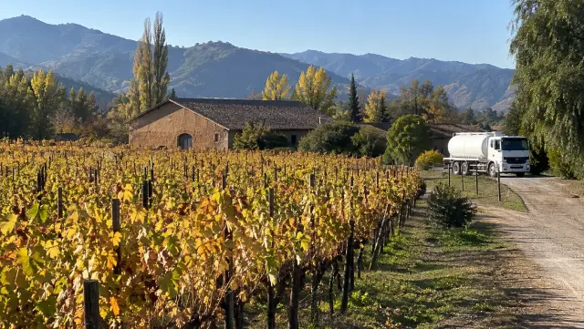 Viñedo de Colchagua en otoño con una bodega de adobe y un camión cisterna en el camino interior