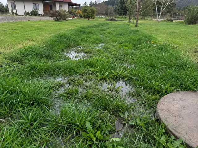 Franja de pasto anegado con charcos sobre las zanjas del drenaje y la tapa de la cámara al borde