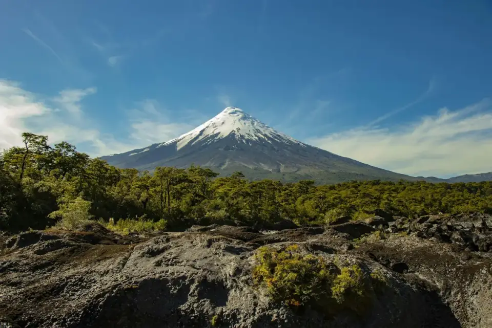 Volcán Osorno nevado sobre el bosque y los campos de lava