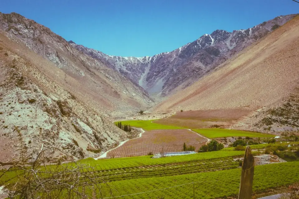 Valle de Elqui con viñas verdes en el fondo del valle y cerros secos